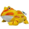Hopscotch The Pacman Frog Stuffed Toy Plushie 12" -Natural Pet Care Shop adore plush company hopscotch the pacman frog stuffed toy plushie 12 55437.1676653967