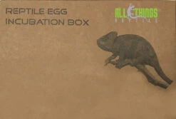 ATR 12 Egg Incubation Tray With Container And Lid -Natural Pet Care Shop all things reptile 12 egg incubation tray with container and lid 16015.1620675323