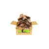 ATR 10lb Box Of Bulk Assorted Flat Cork Bark * Request A Shipping Quote At Checkout -Natural Pet Care Shop all things reptile atr 10lb box of bulk assorted flat cork bark request a shipping quote at checkout 96629.1707452534