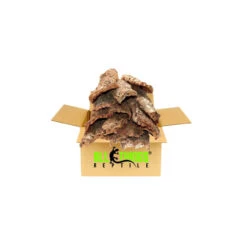 ATR 20lb Box Of Bulk Assorted Cork Bark (Flats) * Request A Shipping Quote At Checkout