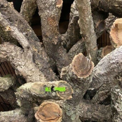 ATR BULK Cork Bark Logs 10 Lbs (Assorted Sizes) * Request A Shipping Quote At Checkout