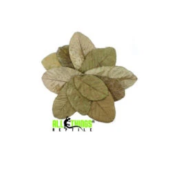 ATR Guava Leaves Dried Grade A 10 Pack