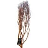ATR Natural Tea Tree Bush - Large (approx. 32") 2 ATR Natural Tea Tree Bush - Large (approx. 32") -Natural Pet Care Shop all things reptile atr natural tea tree bush large approx 32 88909.1654331170