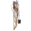 ATR Natural Tea Tree Bush - Medium (approx. 24") -Natural Pet Care Shop all things reptile atr natural tea tree bush medium approx 24 18028.1654331171