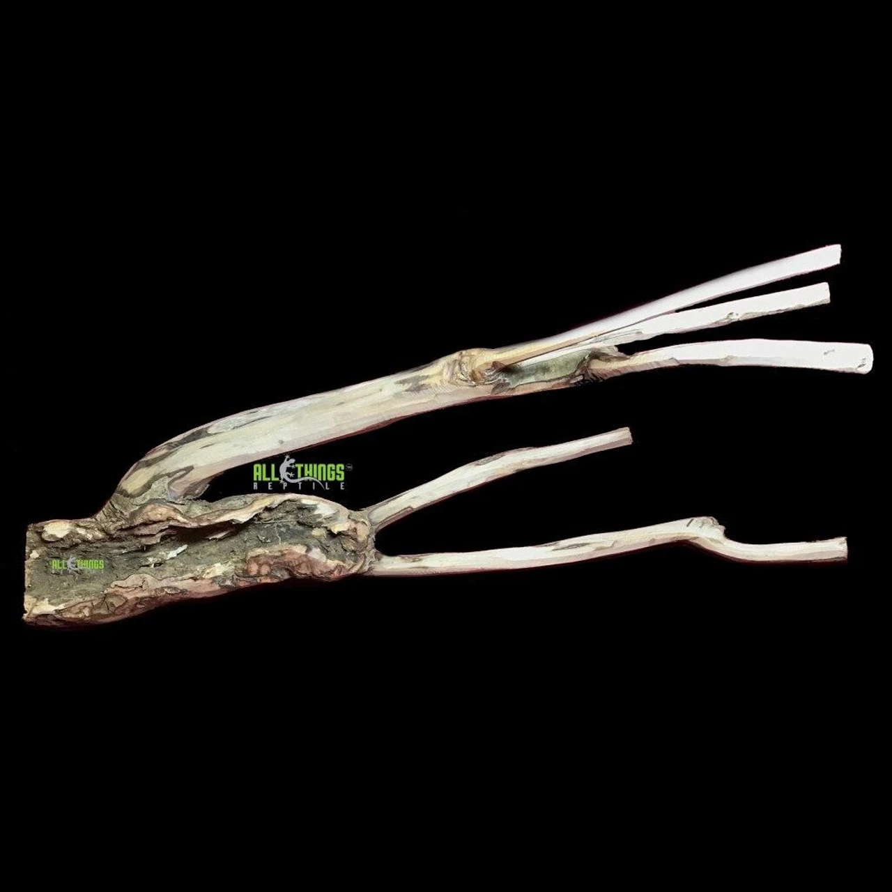 ATR Natural Tea Tree Perch (Branch) (Debarked) 20"-24" 3 ATR Natural Tea Tree Perch (Branch) (Debarked) 20"-24"