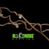 ATR Twisted Wood Vine Natural (Not Dyed) 3ft -Natural Pet Care Shop all things reptile atr twisted wood vine natural not dyed 3ft 70380.1620679530