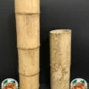 Bamboo 11"-12" Length X 2" Diameter See Notes -Natural Pet Care Shop all things reptile bamboo 11 12 length x 2 diameter see notes 89831.1639165507