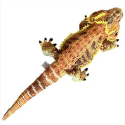 Bearded Dragon Stuffed Toy Plushie 24" -Natural Pet Care Shop all things reptile bearded dragon stuffed toy plushie 24 47945.1695166292