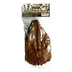 ATR Catappa (Indian Almond) Big Leaves 10-pack
