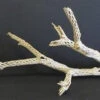 CHOLLA BRANCH SANDBLASTED 18" - 24" -Natural Pet Care Shop all things reptile cholla branch sandblasted 18 24 63323.1620675428
