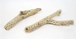 CHOLLA STICKS SANDBLASTED 12" - 16" Approx.