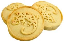Cookie Stamp "Gecko" -Natural Pet Care Shop all things reptile cookie stamp gecko 57082.1620674129