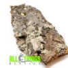 Cork Flat Large (Approx. 16") -Natural Pet Care Shop all things reptile cork flat large approx 16 91716.1684522153