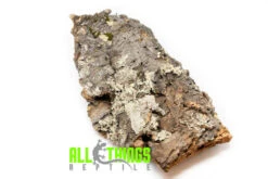 Cork Flat Large (Approx. 16")