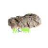 Cork Flat Small 8" Length -Natural Pet Care Shop all things reptile cork flat small 8 length 50794.1684522155