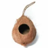 Hanging Coconut Reptile Hide 1 Hole -Natural Pet Care Shop all things reptile hanging coconut reptile hide 1 hole 92418.1628789705