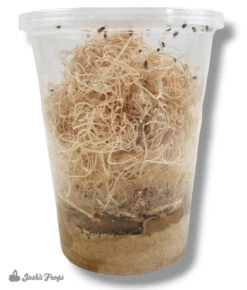 Josh's Frogs Hydei Fruit Fly Media | 1.5 Lbs / 1.35 Quarts (makes 10 Fruit Fly Cultures) -Natural Pet Care Shop all things reptile joshs frogs hydei fruit fly media or 1.5 lbs 1.35 quarts makes 10 fruit fly cultures 34574.1714199846