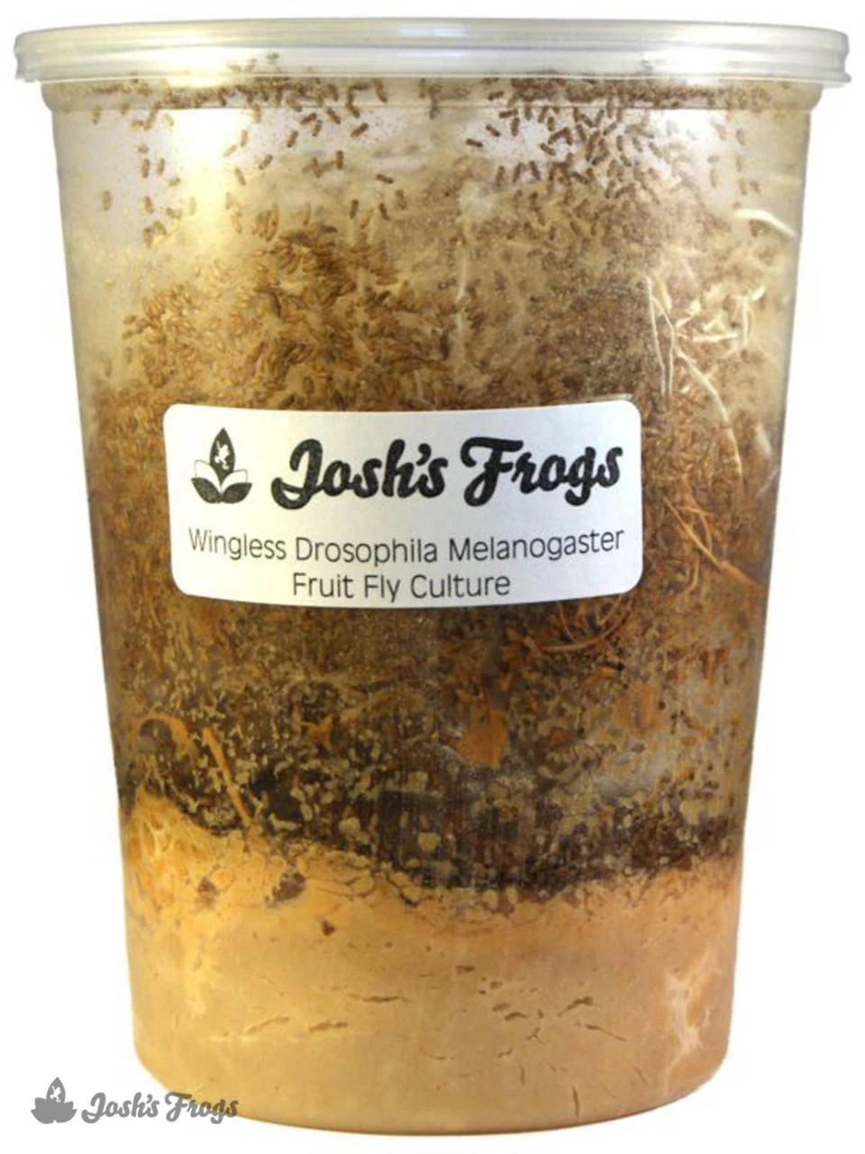 Josh's Frogs Melanogaster Fruit Fly Media | 1.5 Lbs / 1.35 Quarts (makes 10 Fruit Fly Cultures) 10 Josh's Frogs Melanogaster Fruit Fly Media | 1.5 Lbs / 1.35 Quarts (makes 10 Fruit Fly Cultures) - Image 8