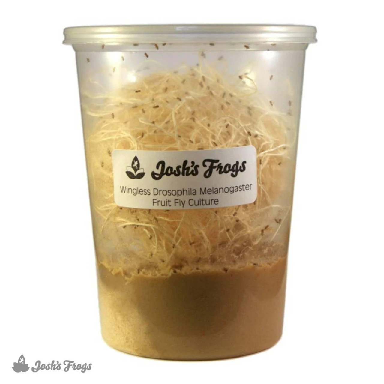 Josh's Frogs Melanogaster Fruit Fly Media | 1.5 Lbs / 1.35 Quarts (makes 10 Fruit Fly Cultures) 9 Josh's Frogs Melanogaster Fruit Fly Media | 1.5 Lbs / 1.35 Quarts (makes 10 Fruit Fly Cultures) - Image 7