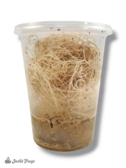 Josh's Frogs Melanogaster Fruit Fly Media | 1.5 Lbs / 1.35 Quarts (makes 10 Fruit Fly Cultures) 17 Josh's Frogs Melanogaster Fruit Fly Media | 1.5 Lbs / 1.35 Quarts (makes 10 Fruit Fly Cultures) -Natural Pet Care Shop all things reptile joshs frogs melanogaster fruit fly media or 1.5 lbs 1.35 quarts makes 10 fruit fly cultures 82846.1714199963