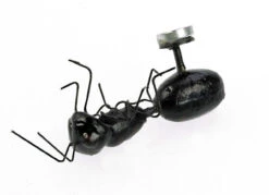 Magnet "Ant" In Cricket Box 6 Magnet "Ant" In Cricket Box -Natural Pet Care Shop all things reptile magnet ant in cricket box 08730.1620674845