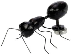 Magnet "Ant" In Cricket Box 7 Magnet "Ant" In Cricket Box -Natural Pet Care Shop all things reptile magnet ant in cricket box 63480.1620673907