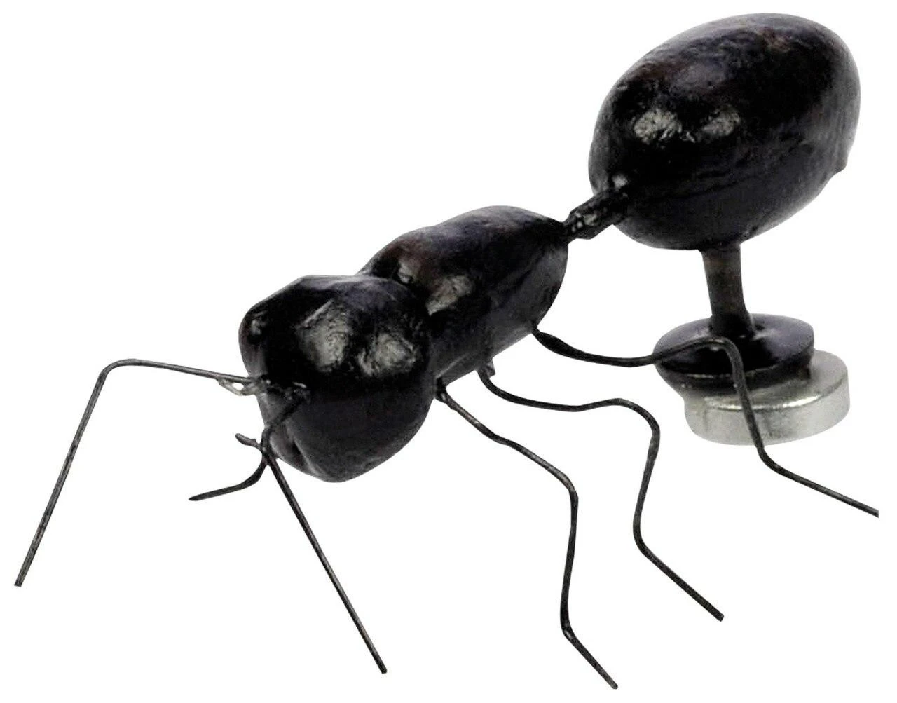 Magnet "Ant" In Cricket Box 5 Magnet "Ant" In Cricket Box - Image 3