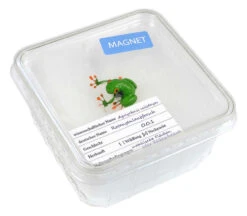Magnet "Red-Eyed Tree Frog" In Cricket Box