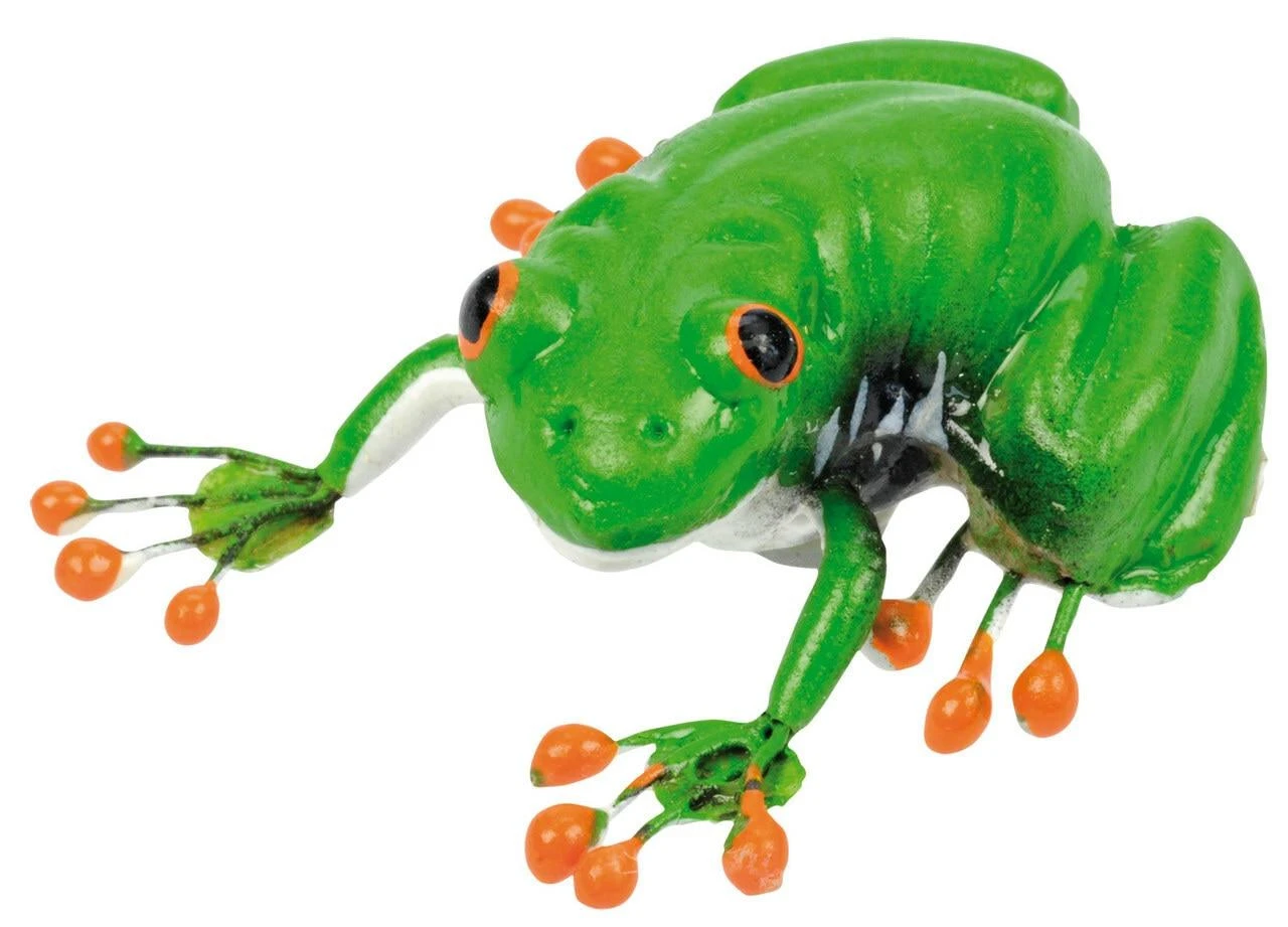 Magnet "Red-Eyed Tree Frog" In Cricket Box 4 Magnet "Red-Eyed Tree Frog" In Cricket Box - Image 2