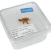 Magnet "Turtle Small" In Cricket Box -Natural Pet Care Shop all things reptile magnet turtle small in cricket box 14116.1620675316