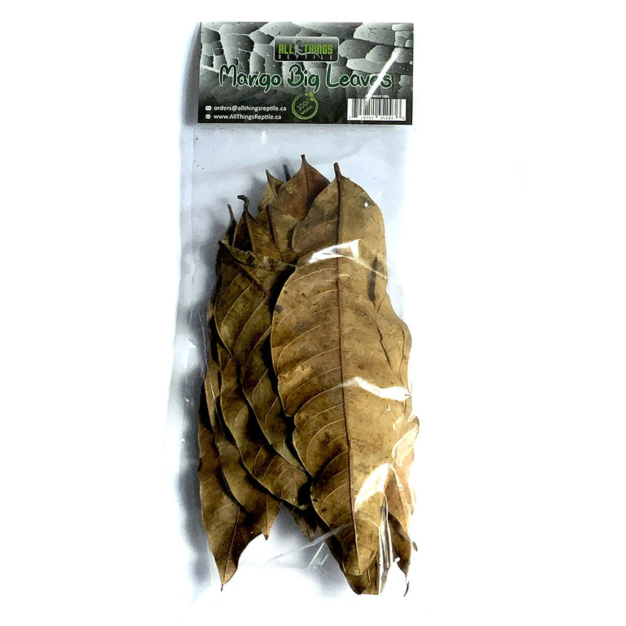 ATR Mango Big Leaves 10-pack 4 ATR Mango Big Leaves 10-pack - Image 2