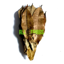 ATR Mango Big Leaves 10-pack