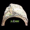 Natural Half Log Hide 8" Habba Hut 2 Natural Half Log Hide 8" Habba Hut -Natural Pet Care Shop all things reptile natural half log hide 8 habba hut 72494.1628789805