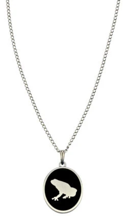 Necklace "Frog"