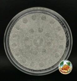 Poly-Fabric 4.5" Deli Lid (50-Pack)