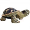Spurred Tortoise Stuffed Toy Plushie 13" 1 Spurred Tortoise Stuffed Toy Plushie 13" -Natural Pet Care Shop all things reptile spurred tortoise stuffed toy plushie 13 48839.1699060393