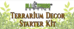 Terrarium Decor Start Kit (Tropical)