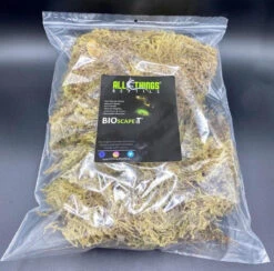 Terrarium Moss 12" Poly Bag
