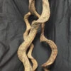 Twisted Trunk Vine 24" - 36" Variable See Notes -Natural Pet Care Shop all things reptile twisted trunk vine 24 36 variable see notes 50786.1620677384