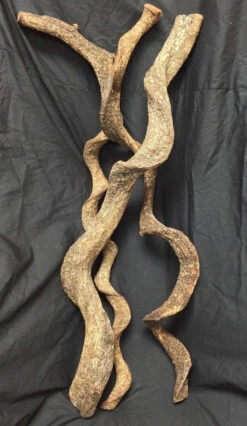 Twisted Trunk Vine 24" - 36" Variable See Notes