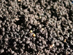 ARCADIA EARTHMIX 5Ltr Bag 8 ARCADIA EARTHMIX 5Ltr Bag -Natural Pet Care Shop arcadia arcadia earthmix 5ltr bag 98020.1651698200