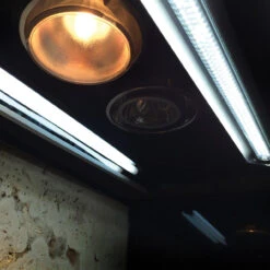 Arcadia ThermalZoo Pro (Dual Pro T5 6%) 23 Arcadia ThermalZoo Pro (Dual Pro T5 6%) -Natural Pet Care Shop arcadia arcadia thermalzoo pro dual pro t5 6percent 10105.1636497381