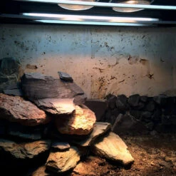 Arcadia ThermalZoo Pro (Dual Pro T5 6%) 26 Arcadia ThermalZoo Pro (Dual Pro T5 6%) -Natural Pet Care Shop arcadia arcadia thermalzoo pro dual pro t5 6percent 47890.1636497504