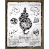 Python Regius Print By Emily Burke -Natural Pet Care Shop emily burke artwork python regius print by emily burke 10535.1632843459