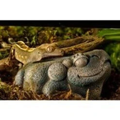 Exo Terra Aztec Frog Water Dish - 40 Ml -Natural Pet Care Shop exo terra exo terra aztec frog water dish 40 ml 36420.1666376321
