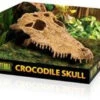 Exo Terra Crocodile Skull -Natural Pet Care Shop exo terra exo terra crocodile skull 96321.1677276919