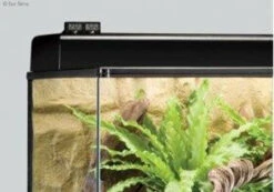 Exo Terra Digital Thermo-Hygro Combo -Natural Pet Care Shop exo terra exo terra digital thermo hygro combo 96877.1620677493