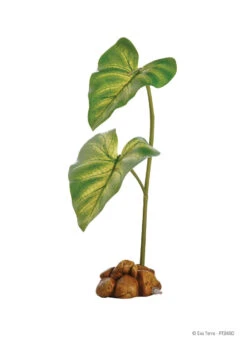 Exo Terra Dripper Plant (Small 14")