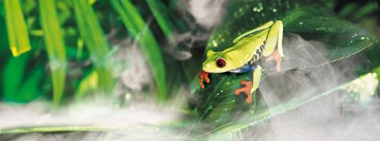 Exo Terra Fogger/Ultrasonic Fog Generator 4 Exo Terra Fogger/Ultrasonic Fog Generator - Image 3