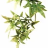 Exo Terra Hanging Croton Plant (Medium 14" Long) -Natural Pet Care Shop exo terra exo terra hanging croton plant medium 14 long 22954.1620678574